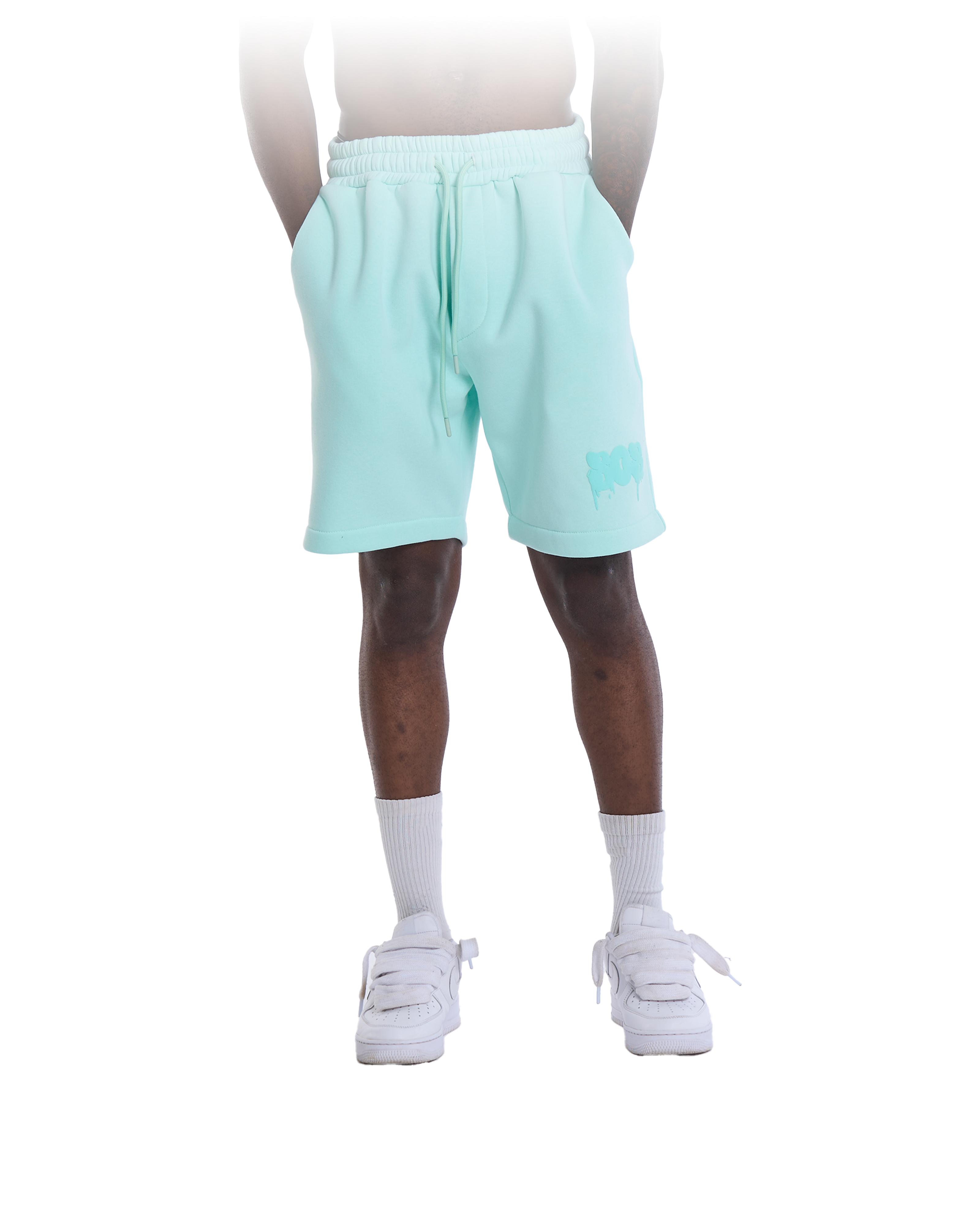 Legacy Shorts Mint